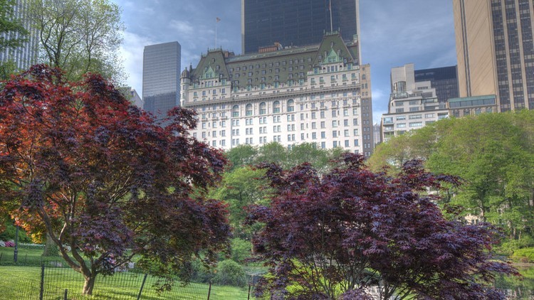 Un vistazo al lujoso apartamento de Tommy Hilfiger