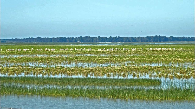 Los parques naturales más bonitos de España