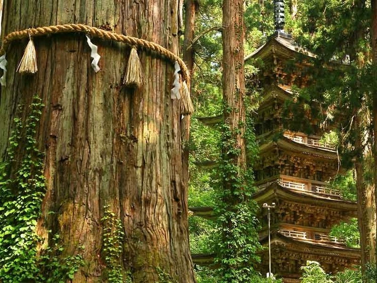 O que recebem os candidatos aos Óscares