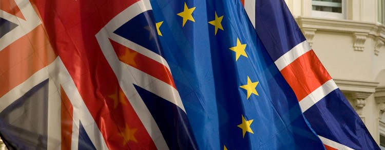 Los 10 cisnes negros del 2016