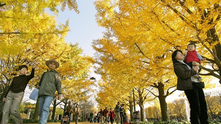 Thanksgiving, il ringraziamento in giro per il mondo