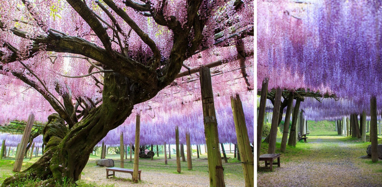 26 Lugares que parecem ser de um conto de fadas