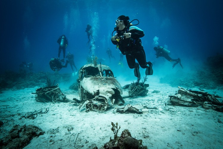 Segredos do fundo do mar