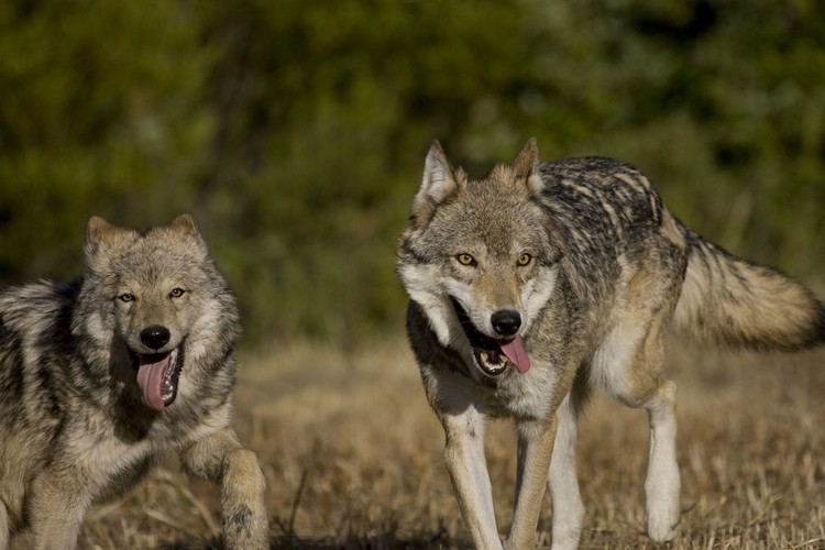 أين ستكون الأسواق غدا؟