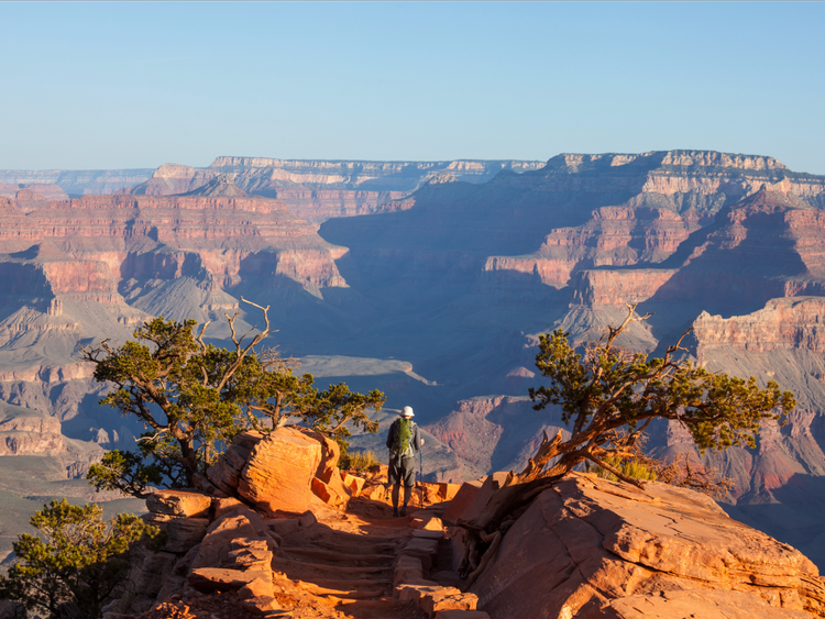 Jeff Bezos: La historia de una de las personas más ricas del mundo