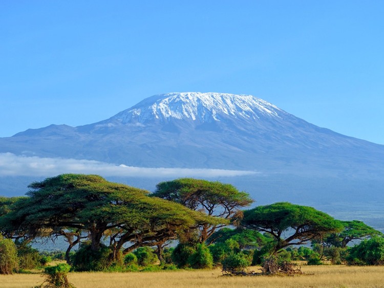 25 maravillas de la naturaleza en peligro de extinción