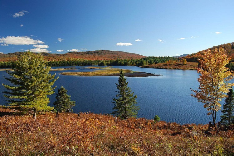 مشتريات أصحاب المليارات من آسيا