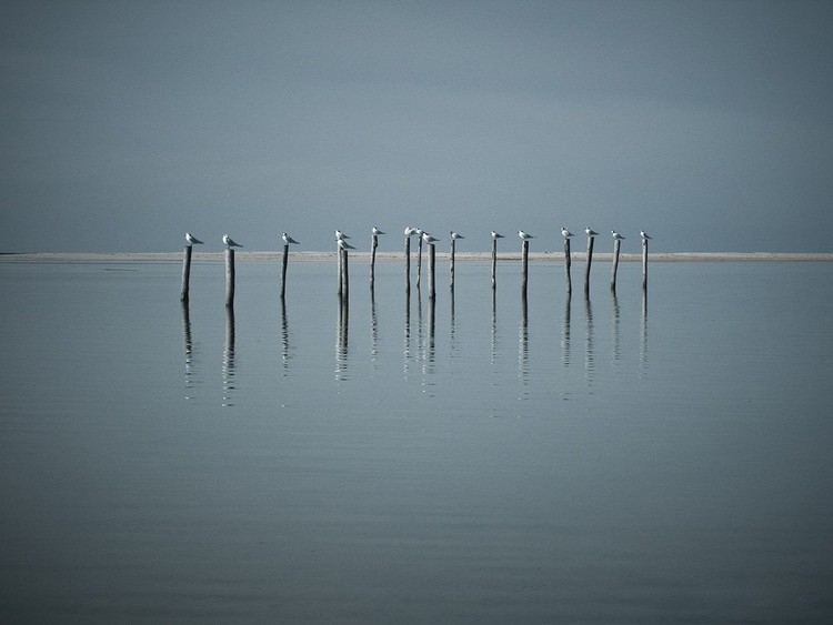 22 Fotografias que são um hino ao minimalismo