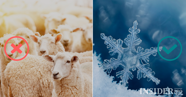 IPO or ICO: Investor’s Choice