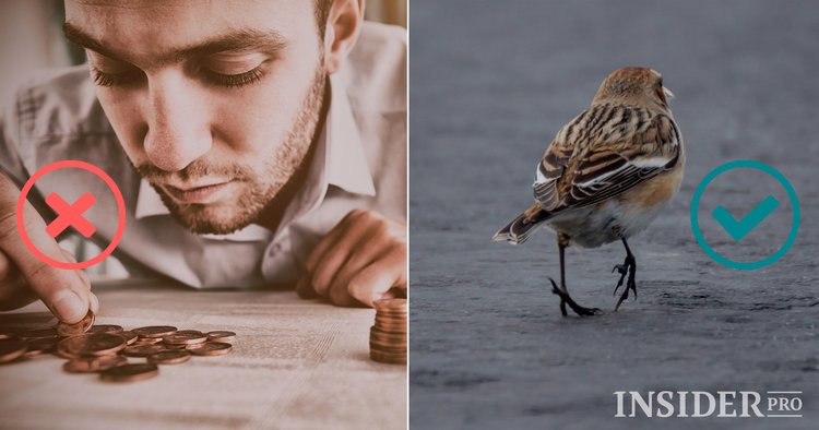 Como averiguar se trabalha para uma empresa tóxica