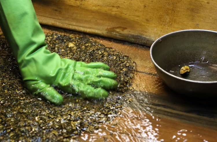 بحثا عن الذهب