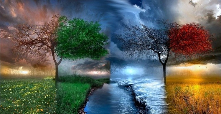 Como ler um relatório de lucros