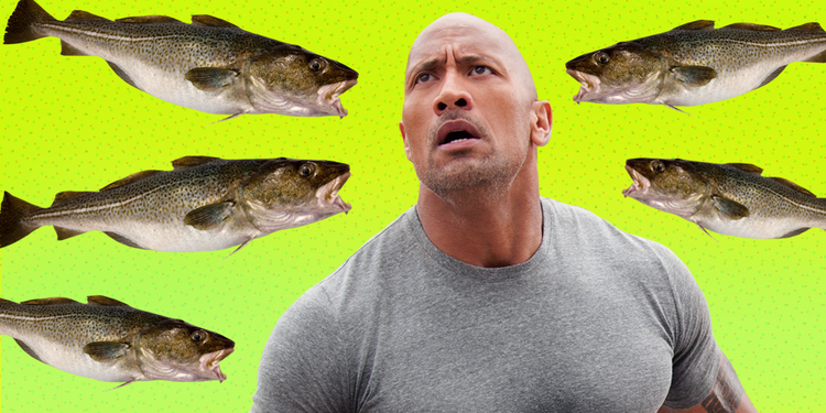 Cómo gana y gasta el dinero Dwayne "The Rock" Johnson