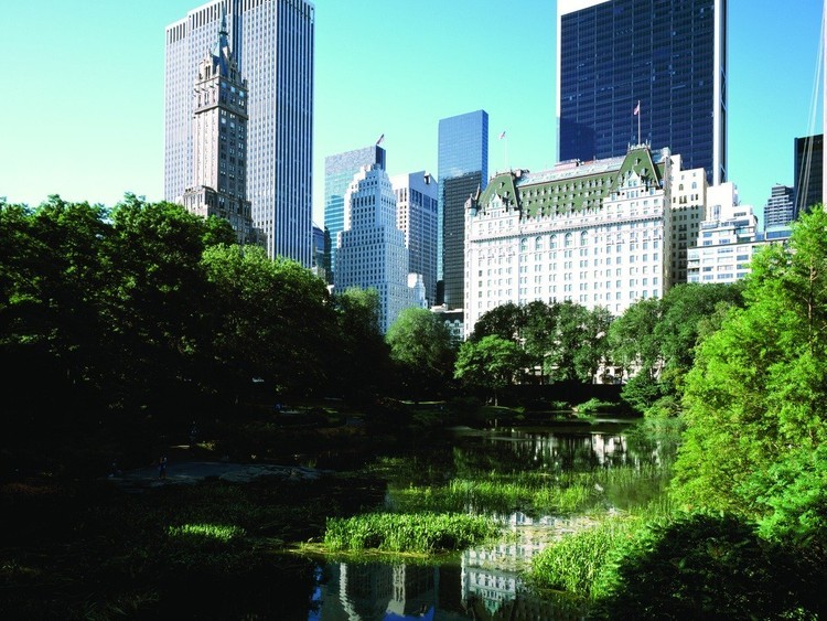 الأسطورة: فندق بلازا