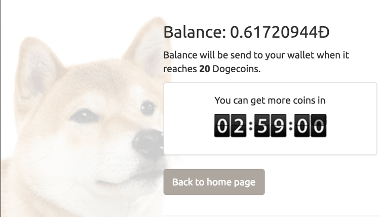 Gonzo Crypto Blog - Week 10: Shibe, Fetch That Moon