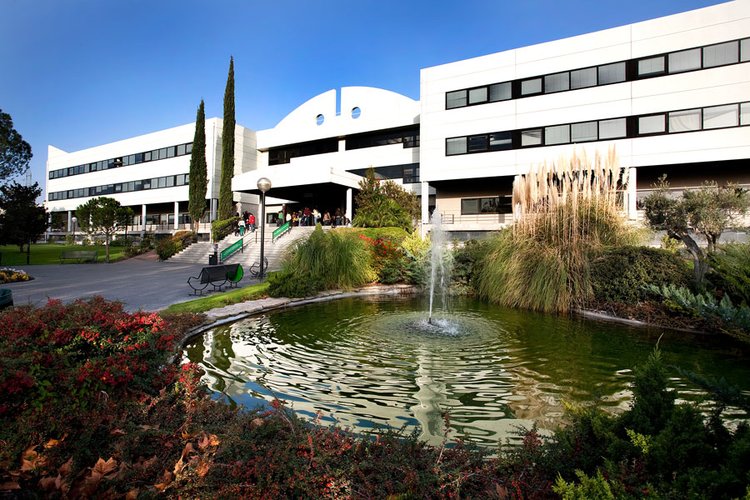 These Are The Top Places To Study Blockchain!