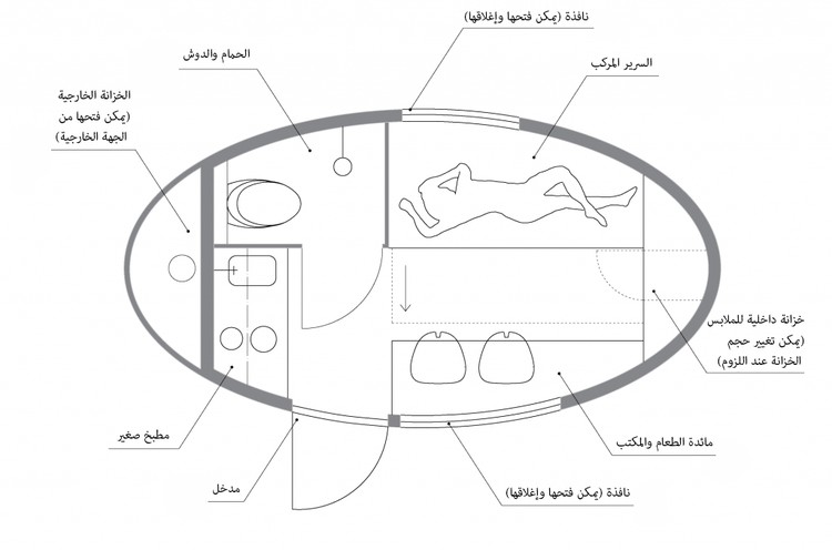 حياة داخل البيضة