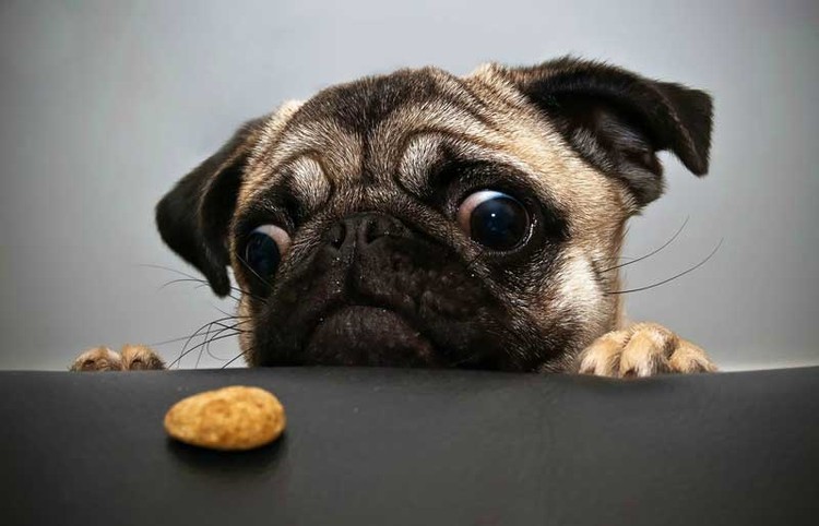 5 maneras de entrenar su fuerza de voluntad