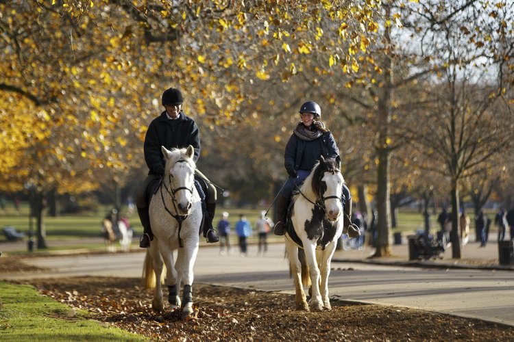 Caro y con amor: cómo dicen los ricos te quiero