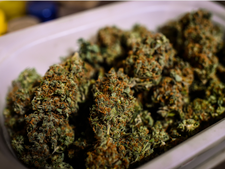 14 cosas sorprendentes que no sabía sobre Malasia