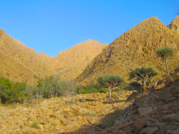 دليلك للاستمتاع في شرم الشيخ