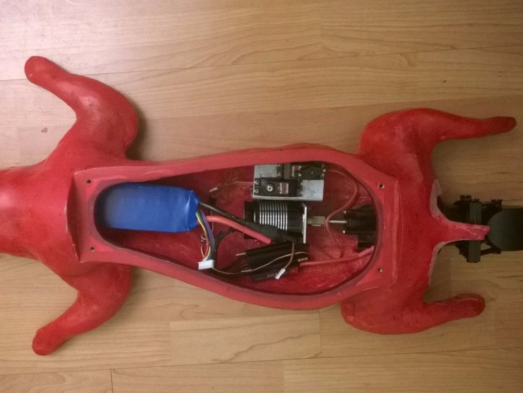 O artista que transformou um gato morto num drone