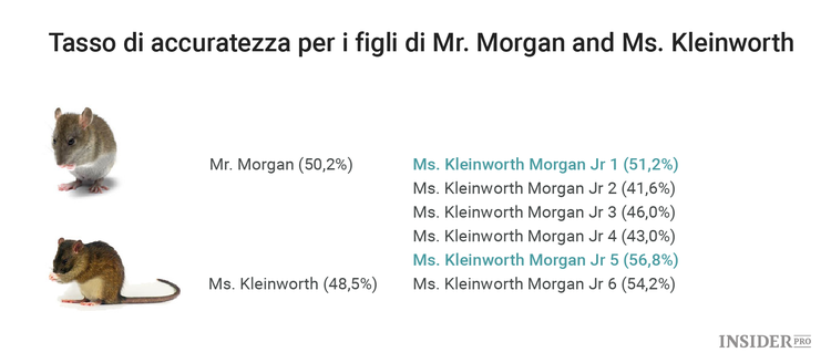 Quando ho trasformato dei topi in broker di Wall Street