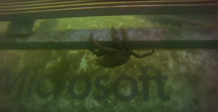 El proyecto Natick: El plan de Microsoft para revolucionar Internet