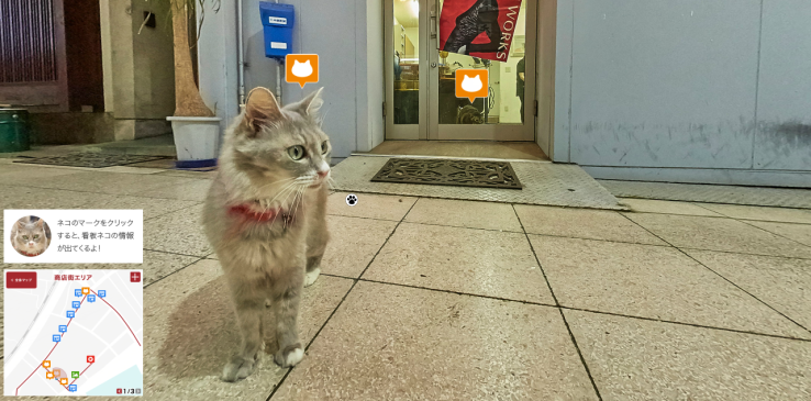 Internet è stato creato per una buona ragione, il Cat Street View