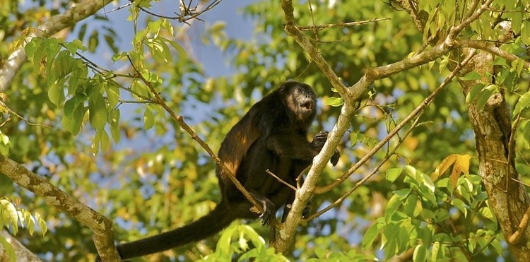 11 Lugares que você tem que visitar antes que desapareçam