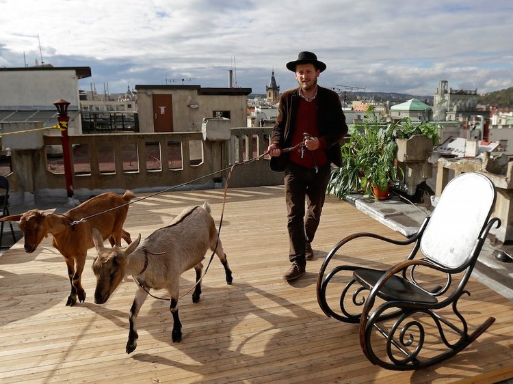 I 21 paesi con la migliore qualità della vita per gli expats