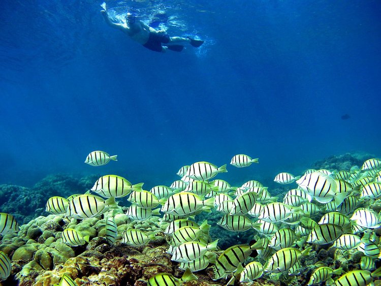 تقويم الرحلات: إلى أين تتجه في عام 2018