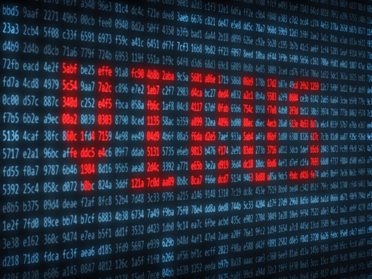 La loca vida del misterioso John McAfee