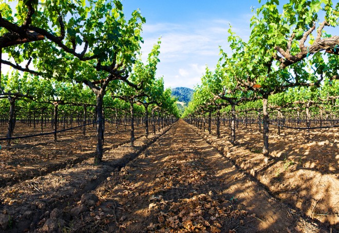 12 ideas para unas vacaciones en 2017