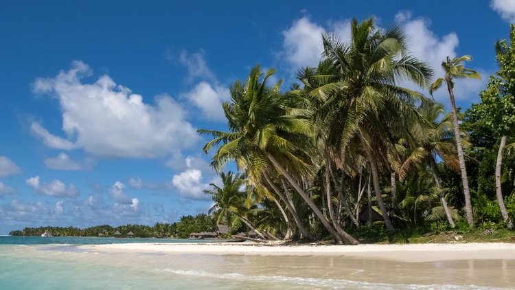 Desde las Islas Cook hasta Islandia: las 50 mejores playas del mundo