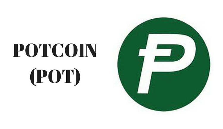 Las 12 criptomonedas más extrañas