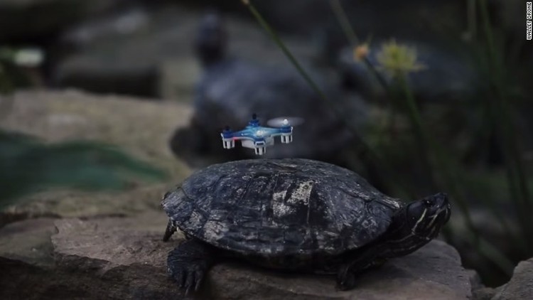 Os 10 gadgets mais esquisitos