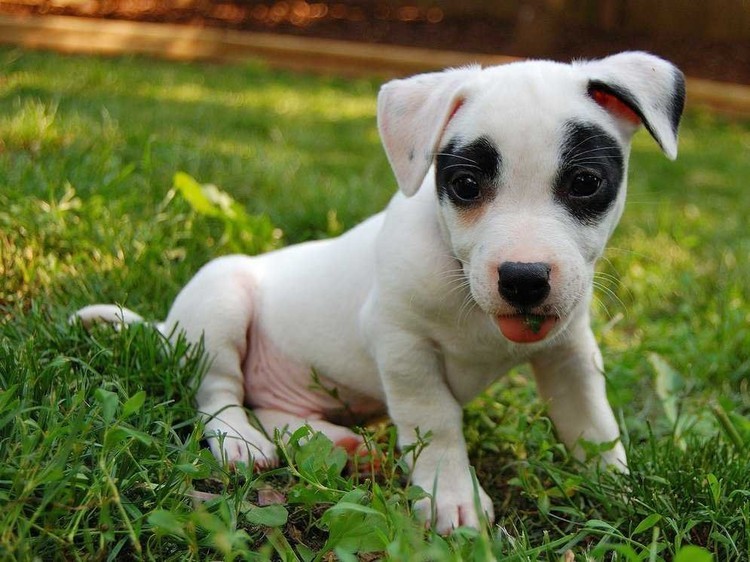 الأسئلة الأكثر صعوبة في مقابلات فيسبوك