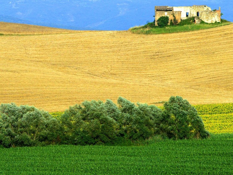 Las 5 mejores regiones vinícolas del mundo