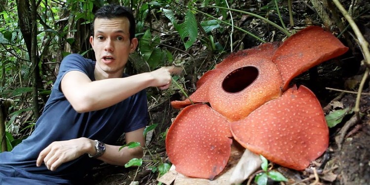 14 cosas sorprendentes que no sabía sobre Malasia