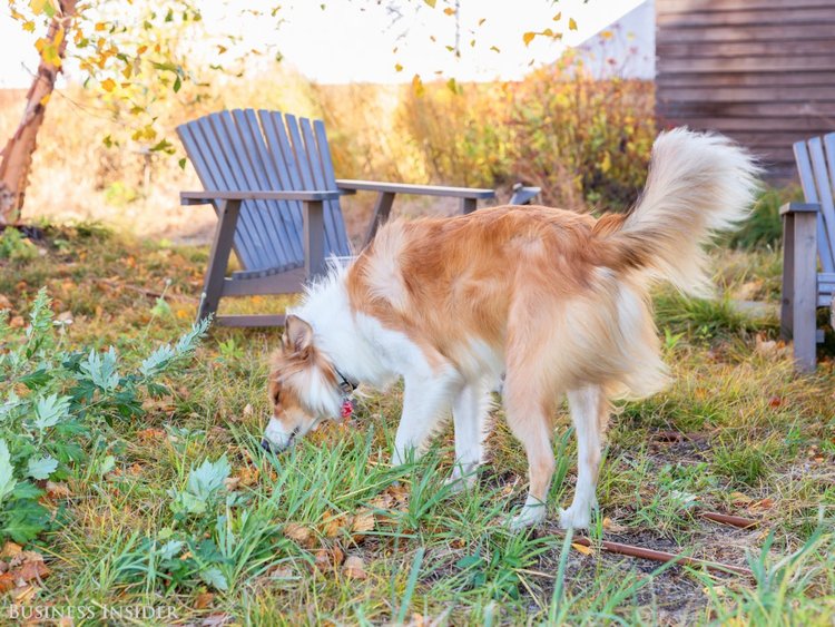 Cómo descansan en el trabajo los empleados de Yelp, LinkedIn y Facebook