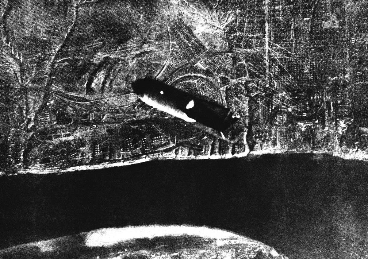 Военный альбом: Хроники Второй мировой
