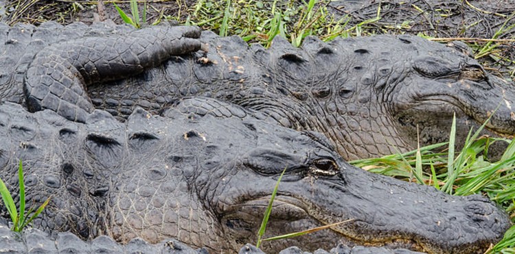 11 Lugares que você tem que visitar antes que desapareçam