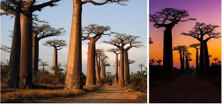 26 Lugares que parecem ser de um conto de fadas