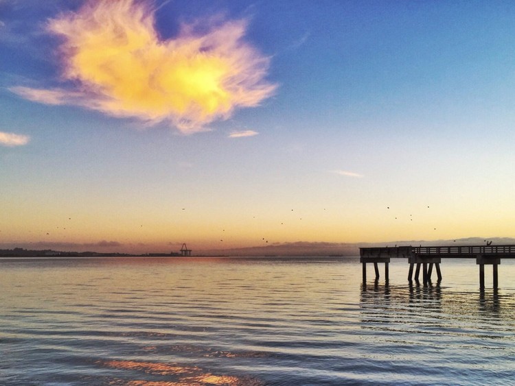 10 Truques para tirar fotografias incríveis com o iPhone 7