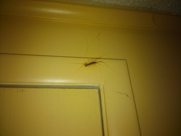 As 20 coisas mais irritantes do mundo