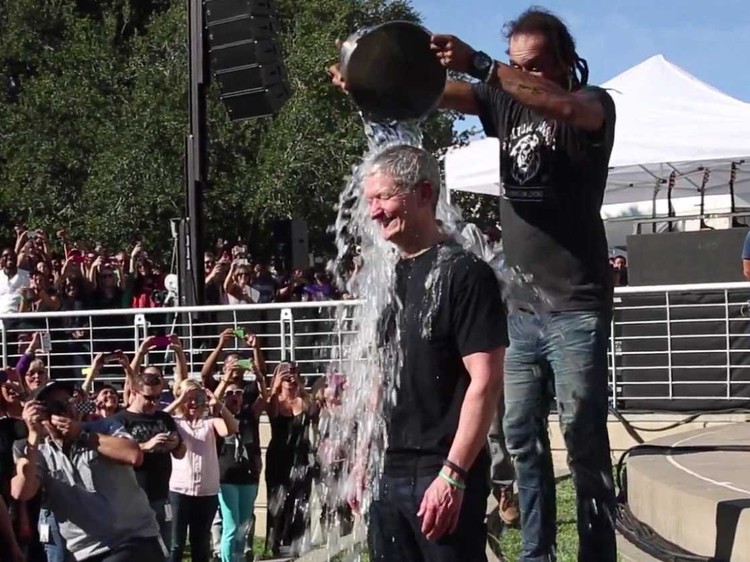 من يترأس شركة Apple؟