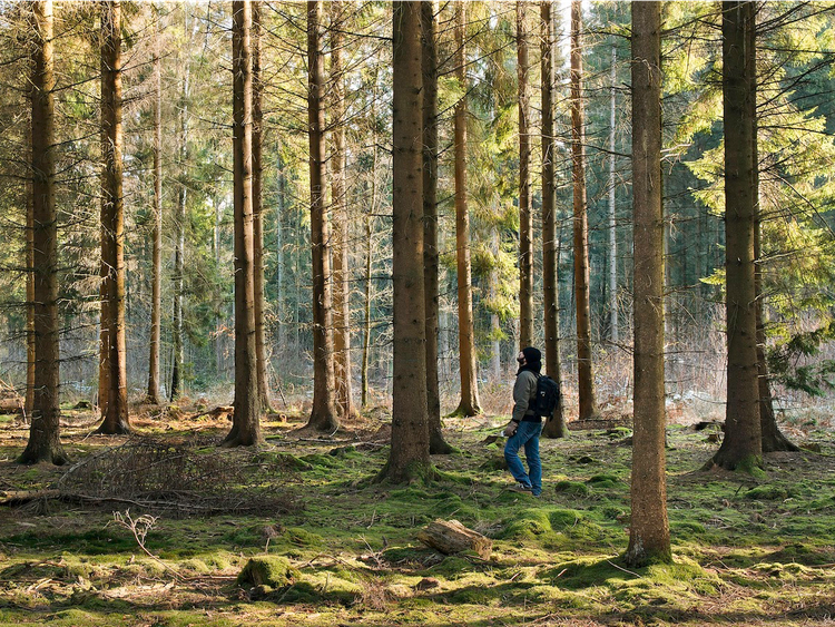 27 hechos asombrosos en los que tal vez no habías pensado