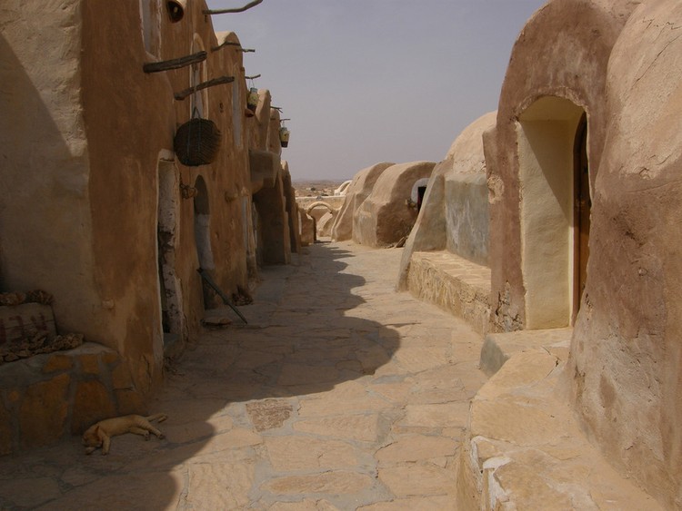 23 Razões para se apaixonar pela Tunísia