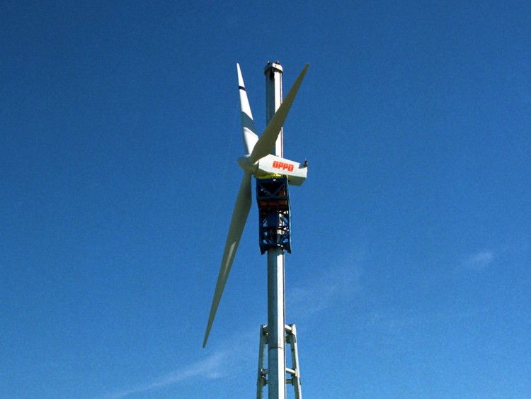 Todo el mundo está equivocado con estas acciones en Wall Street